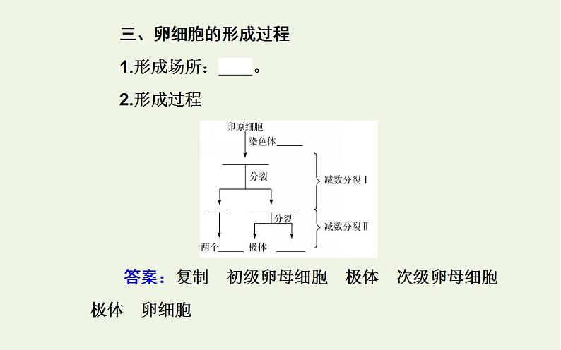 2022届新教材高考生物一轮复习专题六遗传的细胞基次件 课件PPT第7页