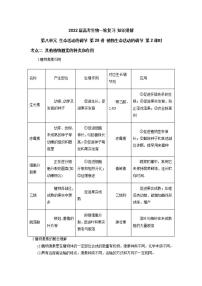 【新教材】2022届高考生物一轮复习讲义：第八单元 生命活动的调节 第28讲 植物生命活动的调节 第2课时 教案