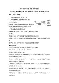 【新教材】2022届高考生物一轮复习讲义：第六单元 遗传的物质基础 第18讲 DNA分子的结构、复制和基因的本质 教案