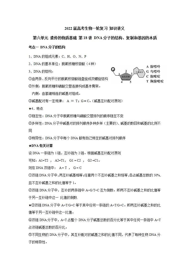 【新教材】2022届高考生物一轮复习讲义：第六单元 遗传的物质基础 第18讲 DNA分子的结构、复制和基因的本质 教案01