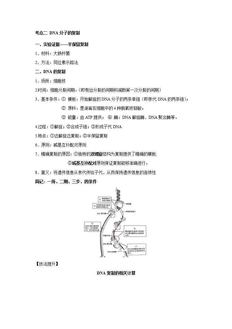 【新教材】2022届高考生物一轮复习讲义：第六单元 遗传的物质基础 第18讲 DNA分子的结构、复制和基因的本质 教案02