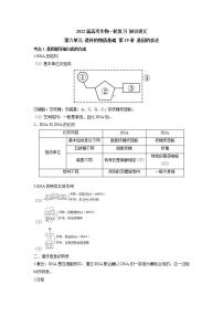 【新教材】2022届高考生物一轮复习讲义：第六单元 遗传的物质基础 第19讲 基因的表达 教案