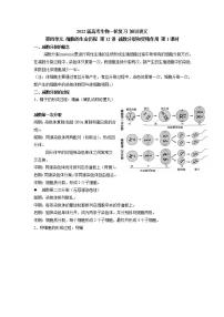 【新教材】2022届高考生物一轮复习讲义：第四单元 细胞的生命历程 第12讲 减数分裂和受精作用 第1课时 教案