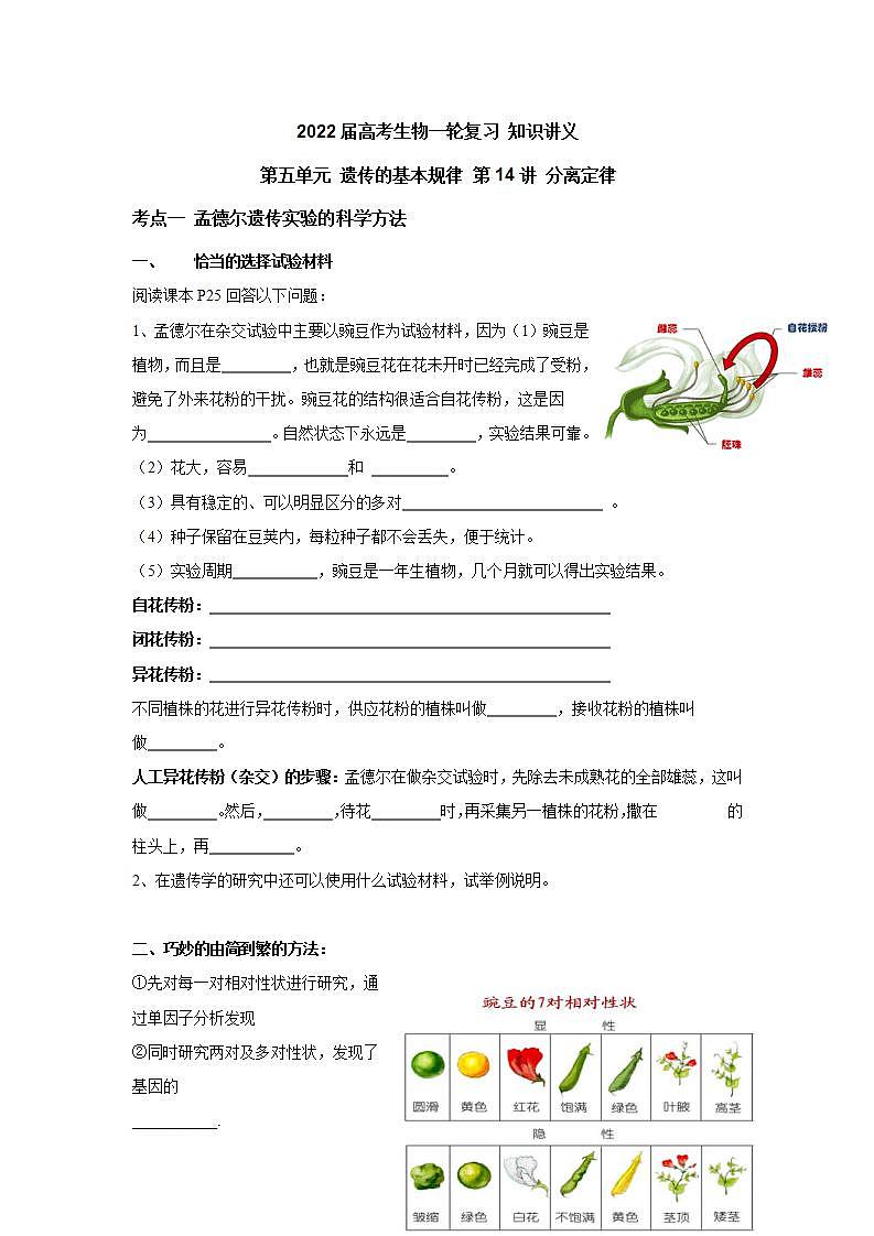 【新教材】2022届高考生物一轮复习讲义：第五单元 遗传的基本规律 第14讲 基因的分离定律 教案01
