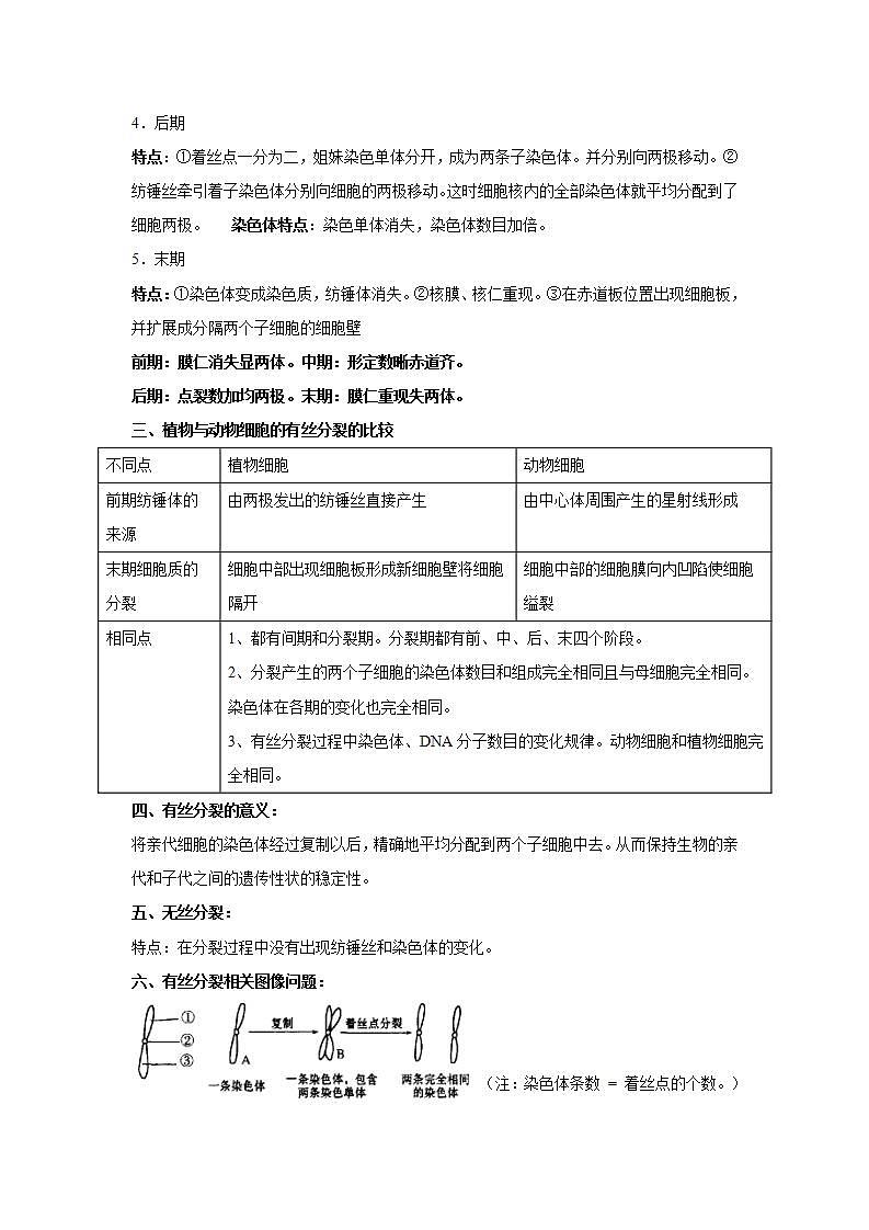 【新教材】2022届高考生物一轮复习讲义：第四单元 细胞的生命历程 第11讲 细胞的增殖 教案02