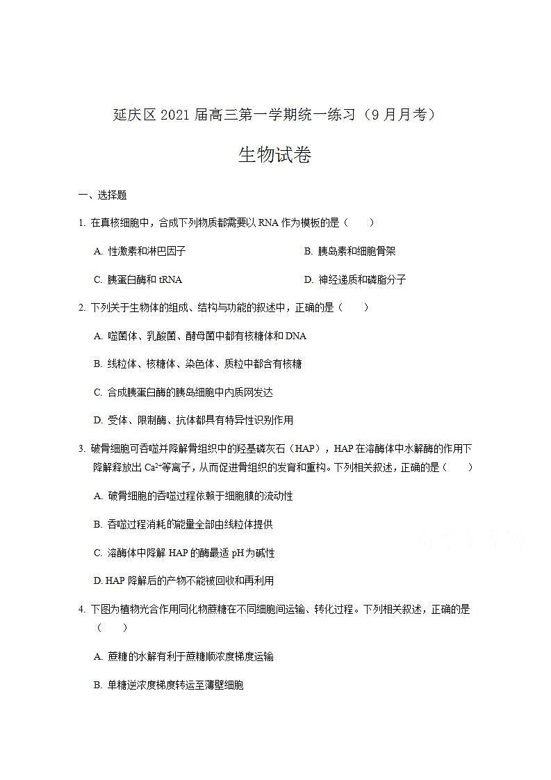 北京市延庆区2021届高三上学期9月统一练习生物试题 Word版含答案01