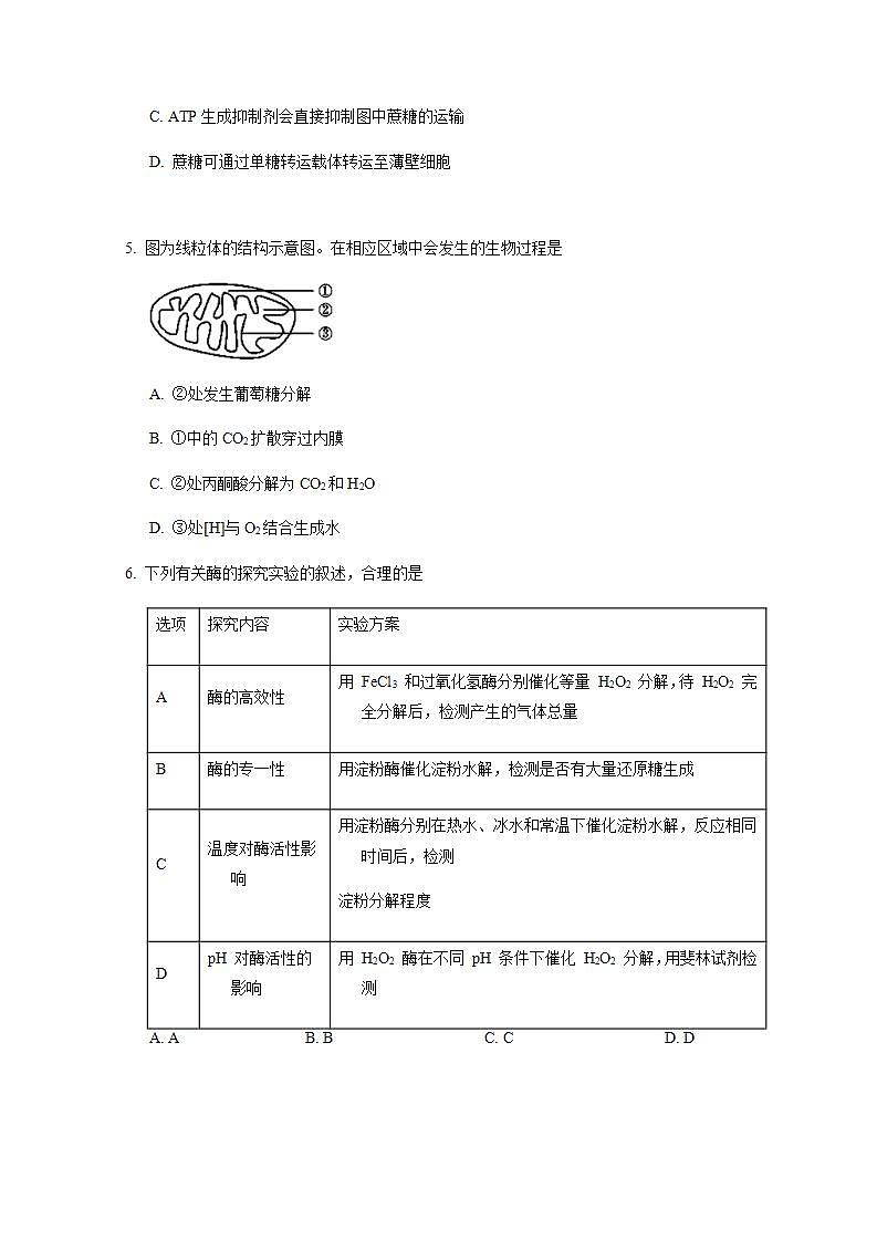 北京市延庆区2021届高三上学期9月统一练习生物试题 Word版含答案02