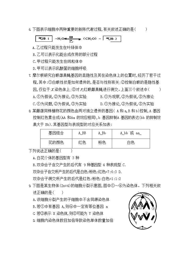 内蒙古赤峰市宁城县2021届高三9月摸底考试生物试题第3页