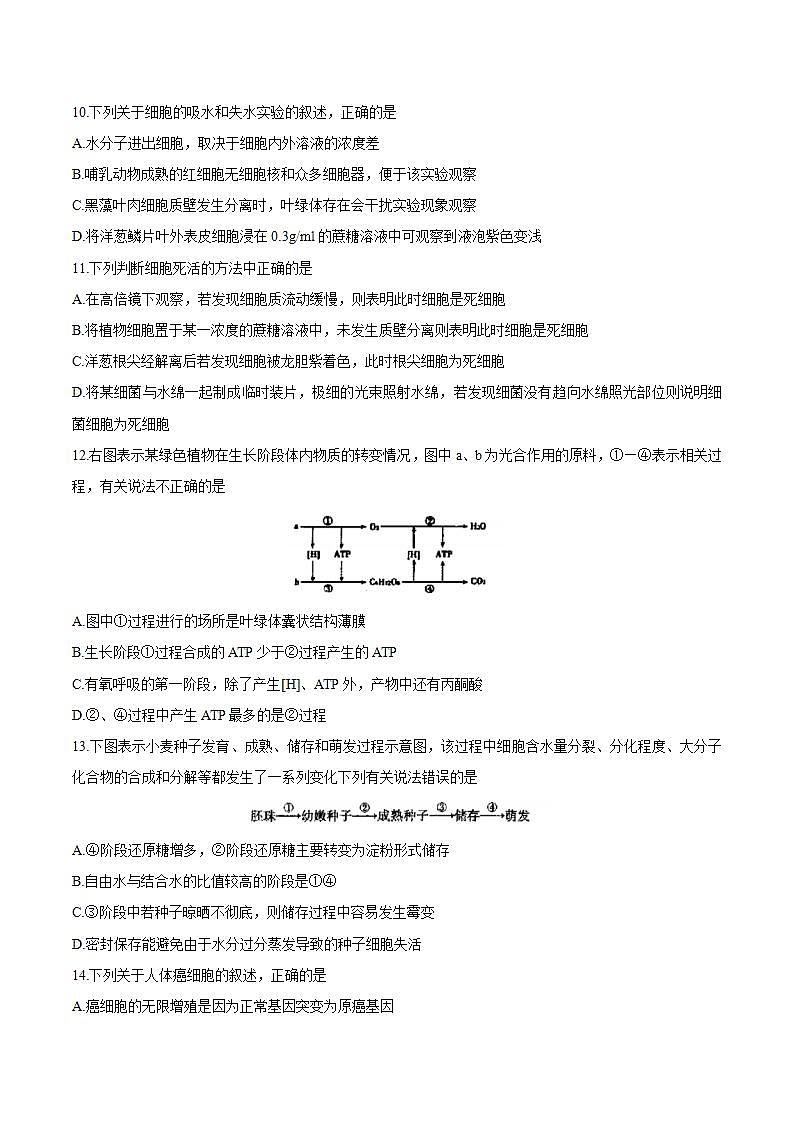 山西省运城市2021届高三9月调研考试生物试题 Word版含答案第3页