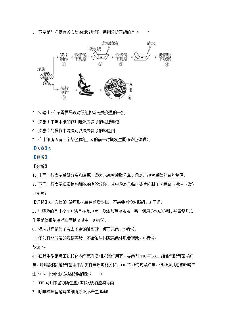 新高考2021届高三生物9月检测试题含解析第3页