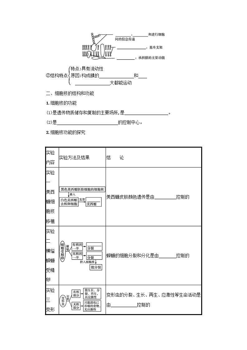 2022届新教材高考生物一轮复习第2单元细胞的结构第4讲细胞膜和细胞核学案新人教版02