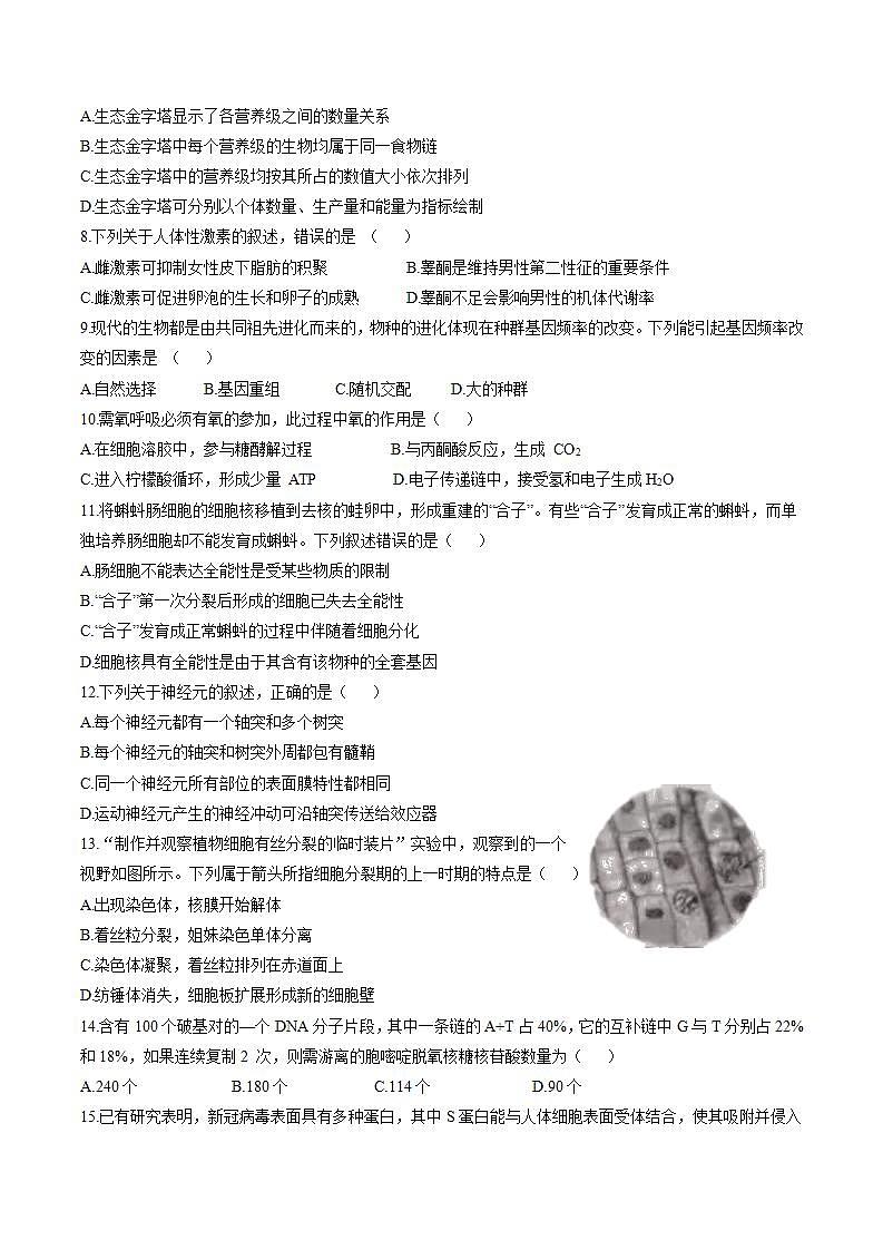 （网络收集版）2021年6月浙江生物高考选考真题文档版（含答案）第2页