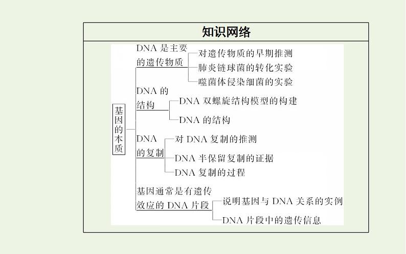 2022届新教材高考生物一轮复习专题七基因的本质课件第3页