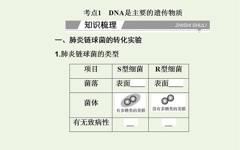 2022届新教材高考生物一轮复习专题七基因的本质课件第4页