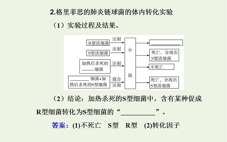 2022届新教材高考生物一轮复习专题七基因的本质课件第5页