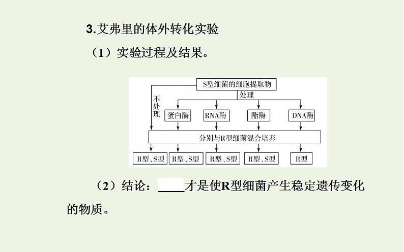 2022届新教材高考生物一轮复习专题七基因的本质课件第6页