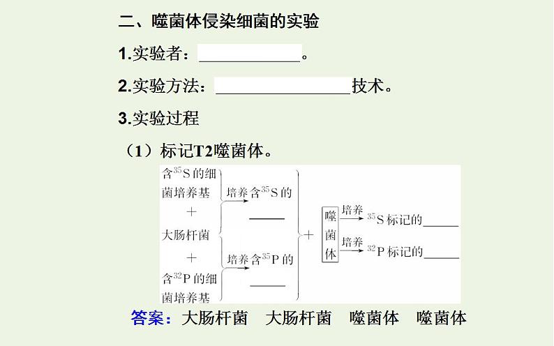 2022届新教材高考生物一轮复习专题七基因的本质课件第7页