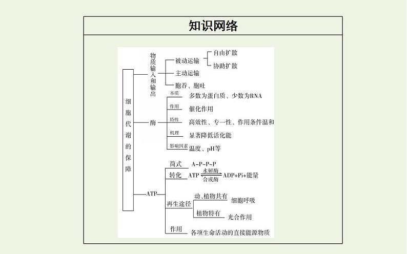 2022届新教材高考生物一轮复习专题三细胞代谢的保障课件第3页