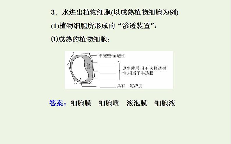 2022届新教材高考生物一轮复习专题三细胞代谢的保障课件第6页