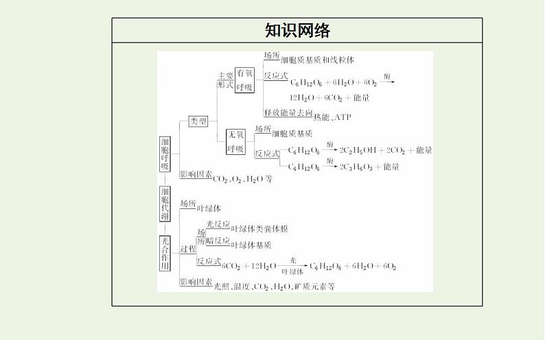 2022届新教材高考生物一轮复习专题四细胞代谢课件第3页