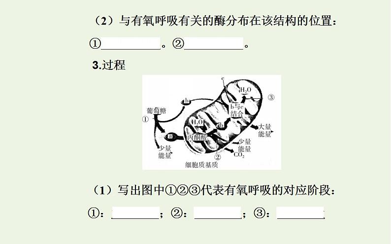 2022届新教材高考生物一轮复习专题四细胞代谢课件第6页