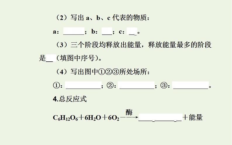 2022届新教材高考生物一轮复习专题四细胞代谢课件第7页