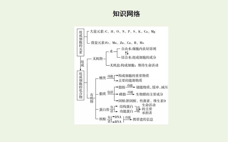 2022届新教材高考生物一轮复习专题一细胞的分子组成课件第5页