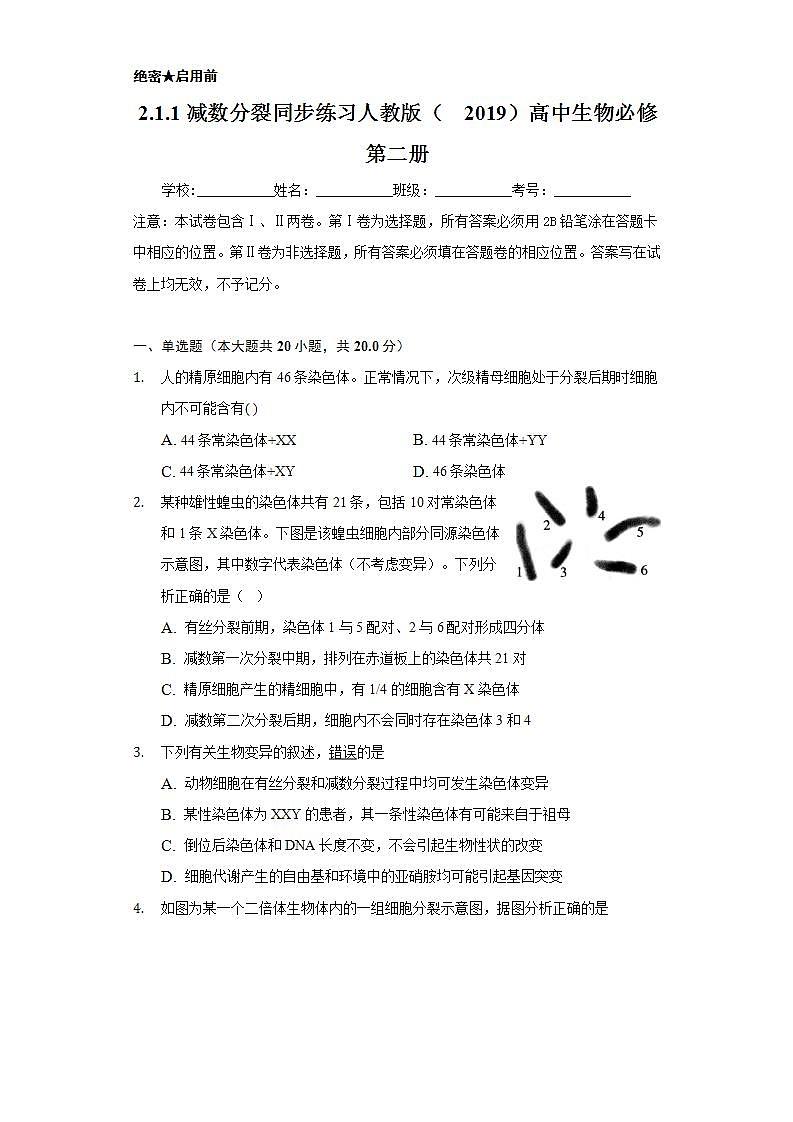 2.1.1减数分裂 同步练习 人教版（2019）高中生物必修第二册01