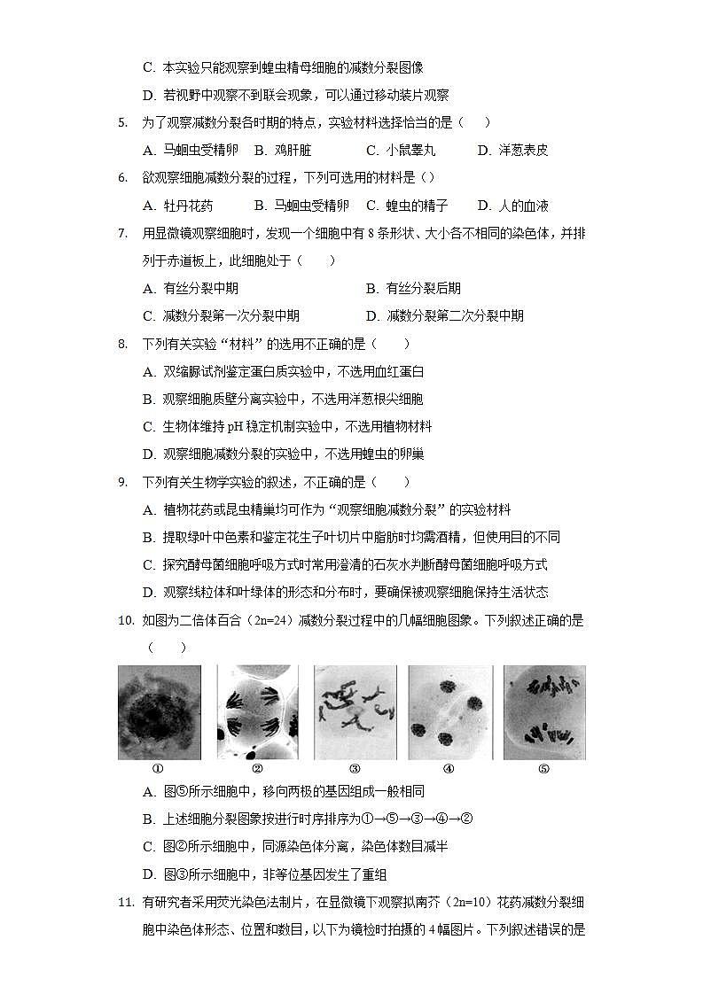 2.1.1探究实践 观察蝗虫精母细胞减数分裂装片  同步练习 人教版（2019）高中生物必修第二册02