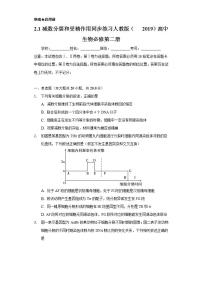 人教版 (2019)必修2《遗传与进化》第2章 基因和染色体的关系第1节 减数分裂和受精作用本节综合与测试当堂检测题