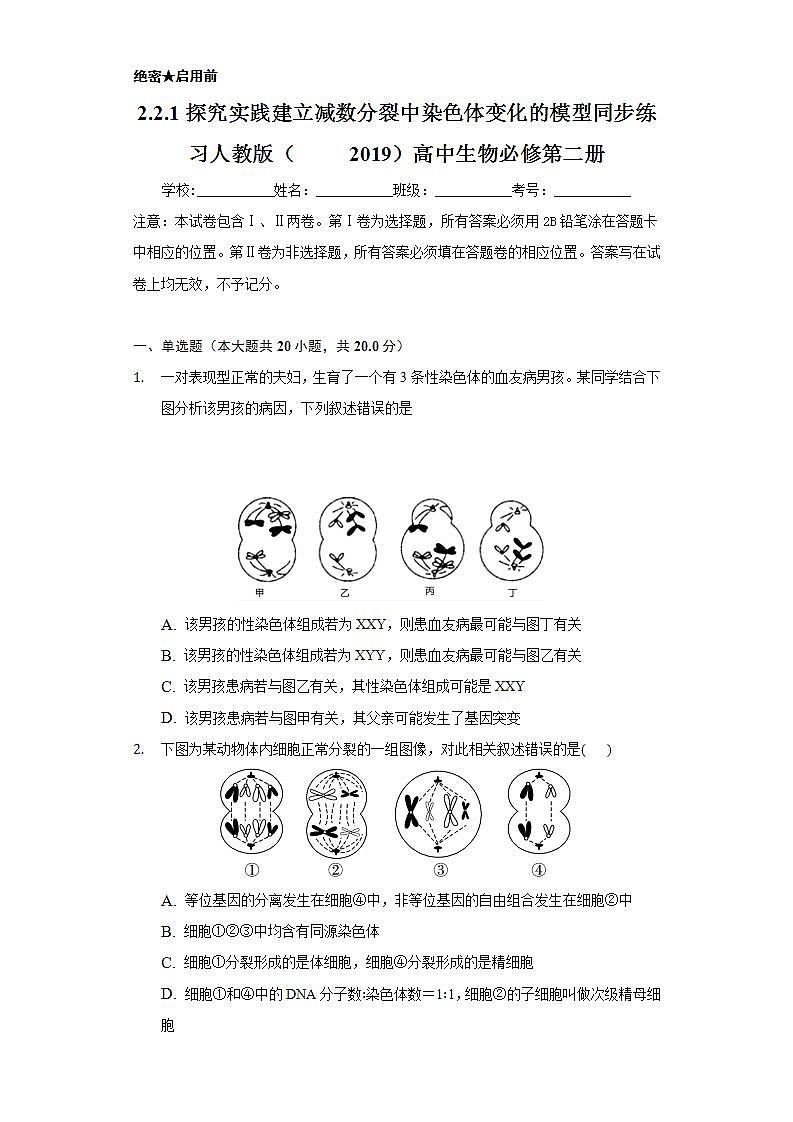 2.2.1探究实践 建立减数分裂中染色体变化的模型   同步练习 人教版（2019）高中生物必修第二册01