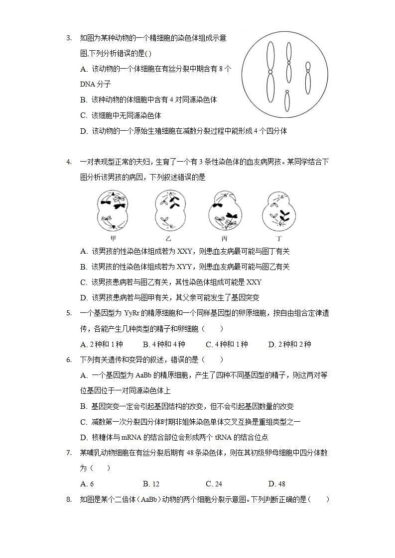 2.2.1探究实践 建立减数分裂中染色体变化的模型   同步练习 人教版（2019）高中生物必修第二册02