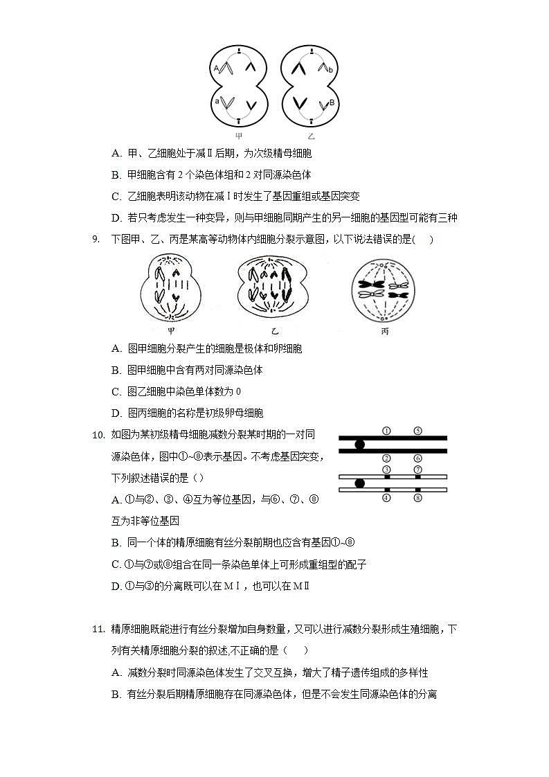 2.2.1探究实践 建立减数分裂中染色体变化的模型   同步练习 人教版（2019）高中生物必修第二册03