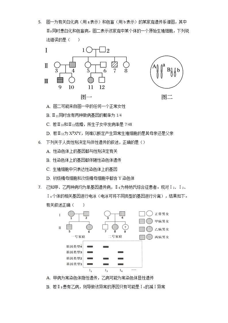 2.3伴性遗传 同步练习   人教版 (2019)高中生物必修第二册02