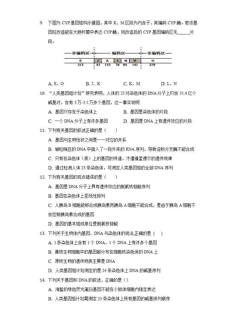 3.4基因通常是有遗传效应的DNA片段 同步练习   人教版 (2019)高中生物必修第二册03