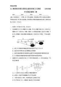 人教版 (2019)必修2《遗传与进化》第4章 基因的表达第1节 基因指导蛋白质的合成综合训练题