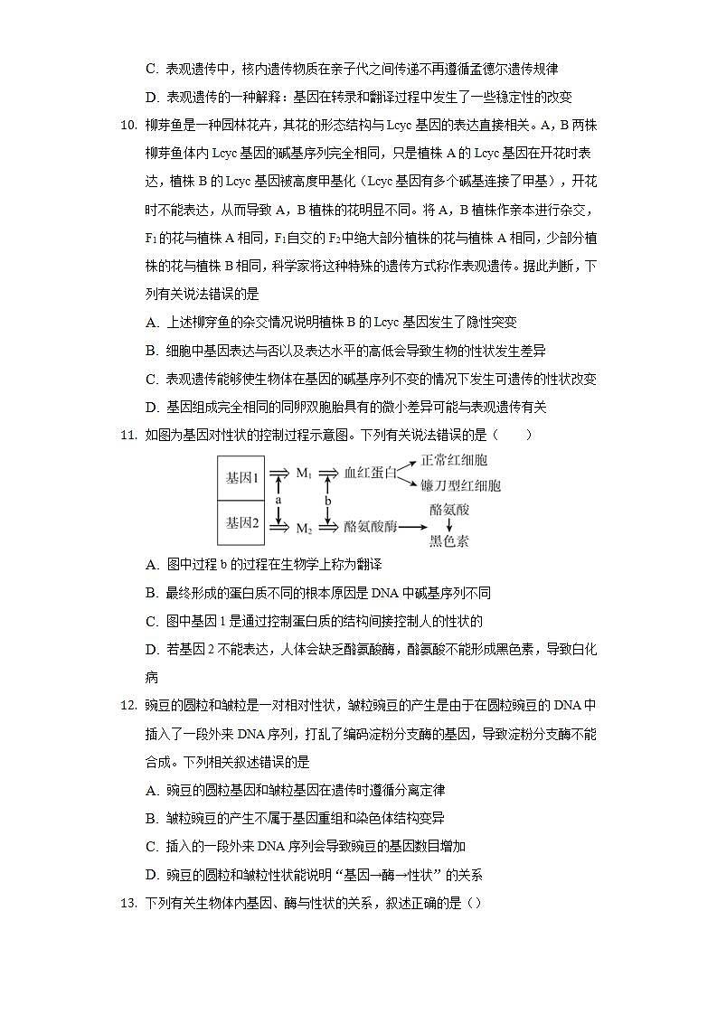 4.2基因表达与性状的关系 同步练习   人教版 (2019)高中生物必修第二册03
