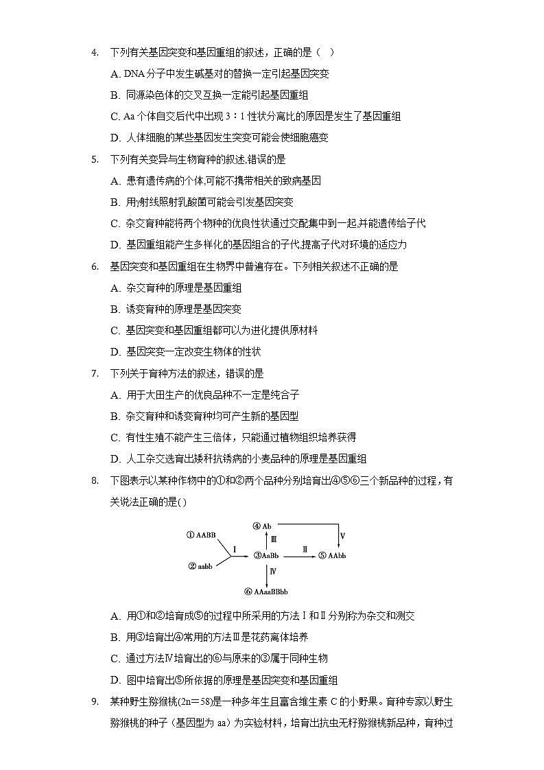 5.1基因突变和基因重组  同步练习   人教版 (2019)高中生物必修第二册02