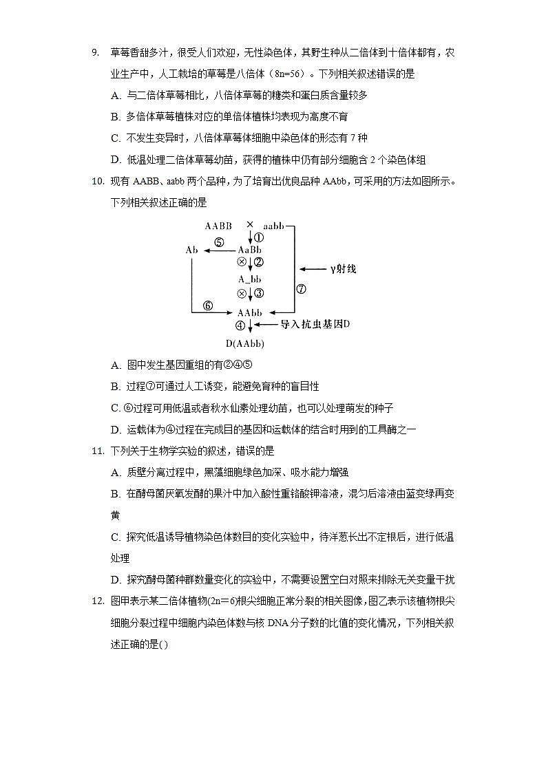 5.2.2探究实践 低温诱导植物细胞染色体数目的变化 同步练习   人教版 (2019)高中生物必修第二册第3页