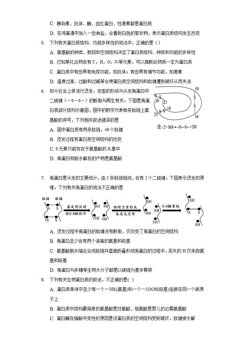 2.4蛋白质是生命活动的主要承担者  同步练习 人教版（2019）高中生物必修第一册第2页