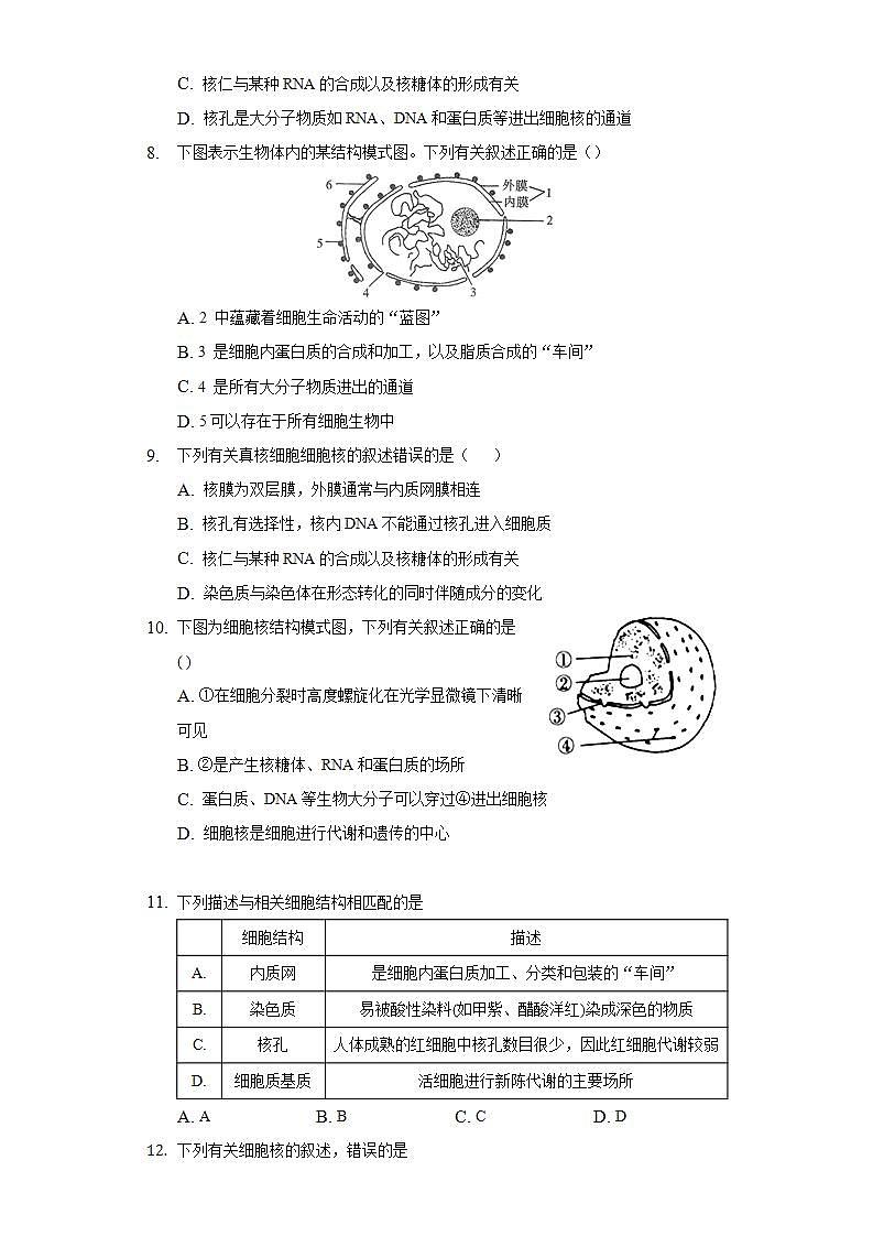 3.3细胞核的结构和功能  同步练习 人教版（2019）高中生物必修第一册第3页
