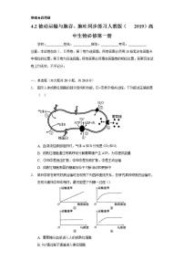高中生物人教版 (2019)必修1《分子与细胞》第2节 主动运输与胞吞、胞吐复习练习题