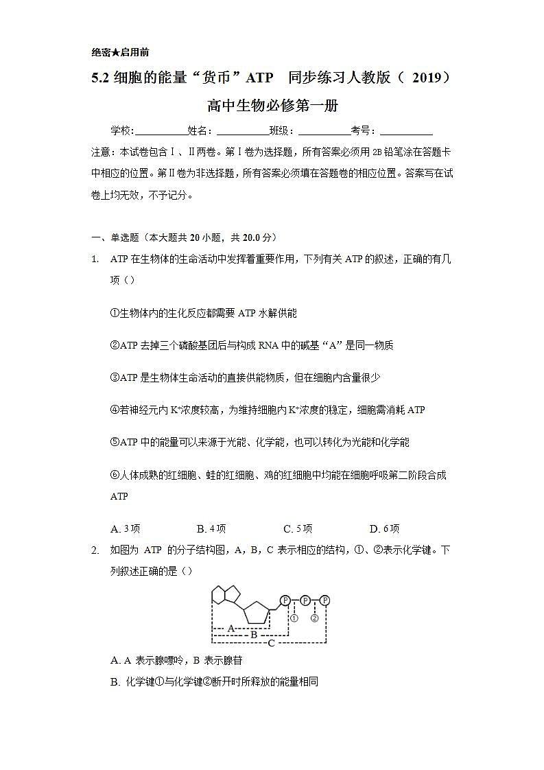 5.2细胞的能量“货币”ATP  同步练习 人教版（2019）高中生物必修第一册第1页