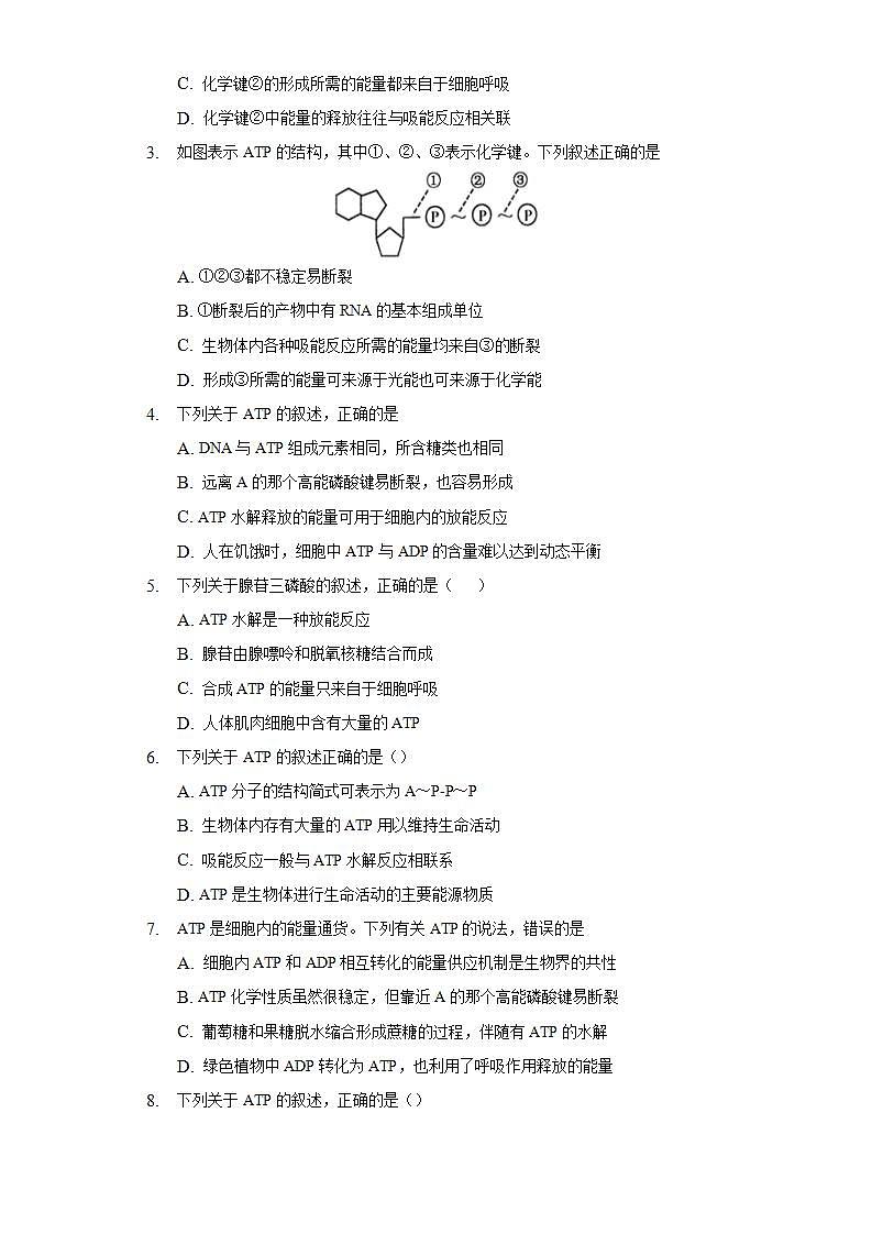 5.2细胞的能量“货币”ATP  同步练习 人教版（2019）高中生物必修第一册第2页
