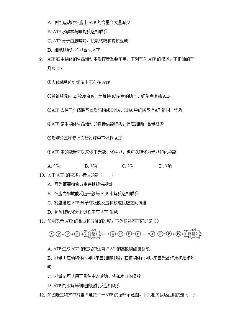 5.2细胞的能量“货币”ATP  同步练习 人教版（2019）高中生物必修第一册第3页