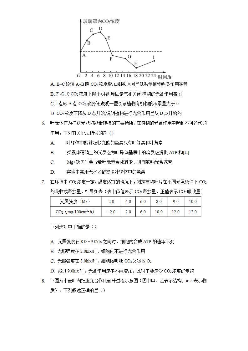 5.4光合作用与能量转化    同步练习 人教版（2019）高中生物必修第一册03