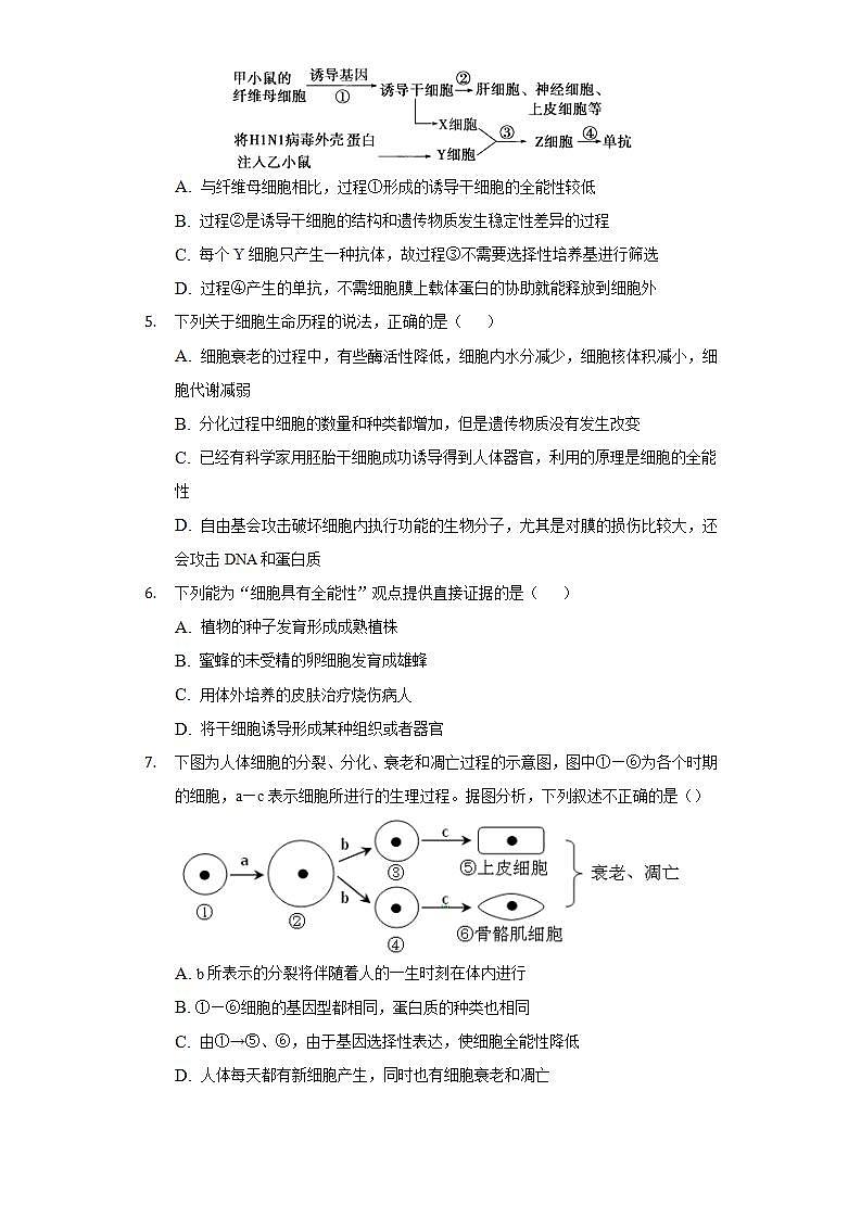 6.2细胞的分化  同步练习 人教版（2019）高中生物必修第一册02