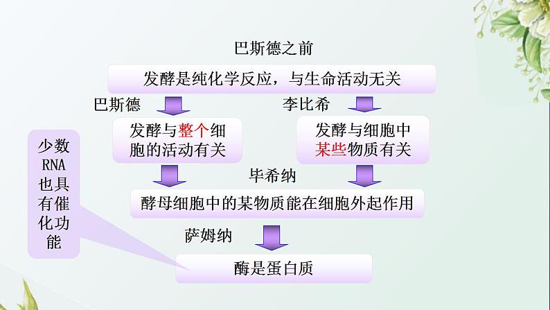 2021_2022学年新教材高中生物第3章细胞中能量的转换和利用课件打包6套苏教版必修108