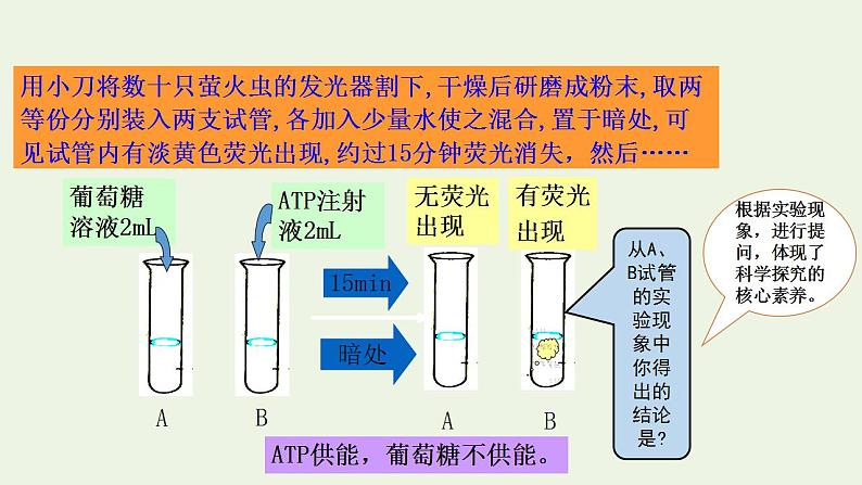 2021_2022学年新教材高中生物第3章细胞中能量的转换和利用课件打包6套苏教版必修103