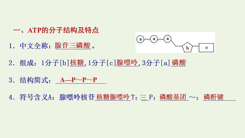 2021_2022学年新教材高中生物第3章细胞中能量的转换和利用课件打包6套苏教版必修106